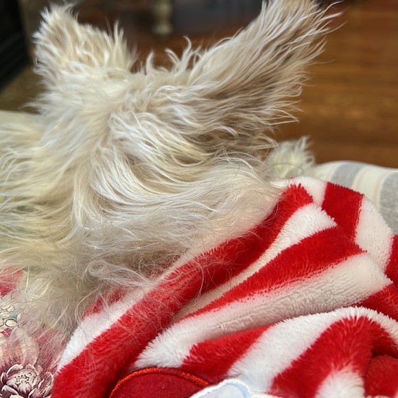 Meet your Posher, Lori - Picture 2 of 2